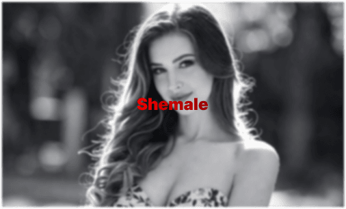 Porno Shemale & Trans : le guide complet du spectateur